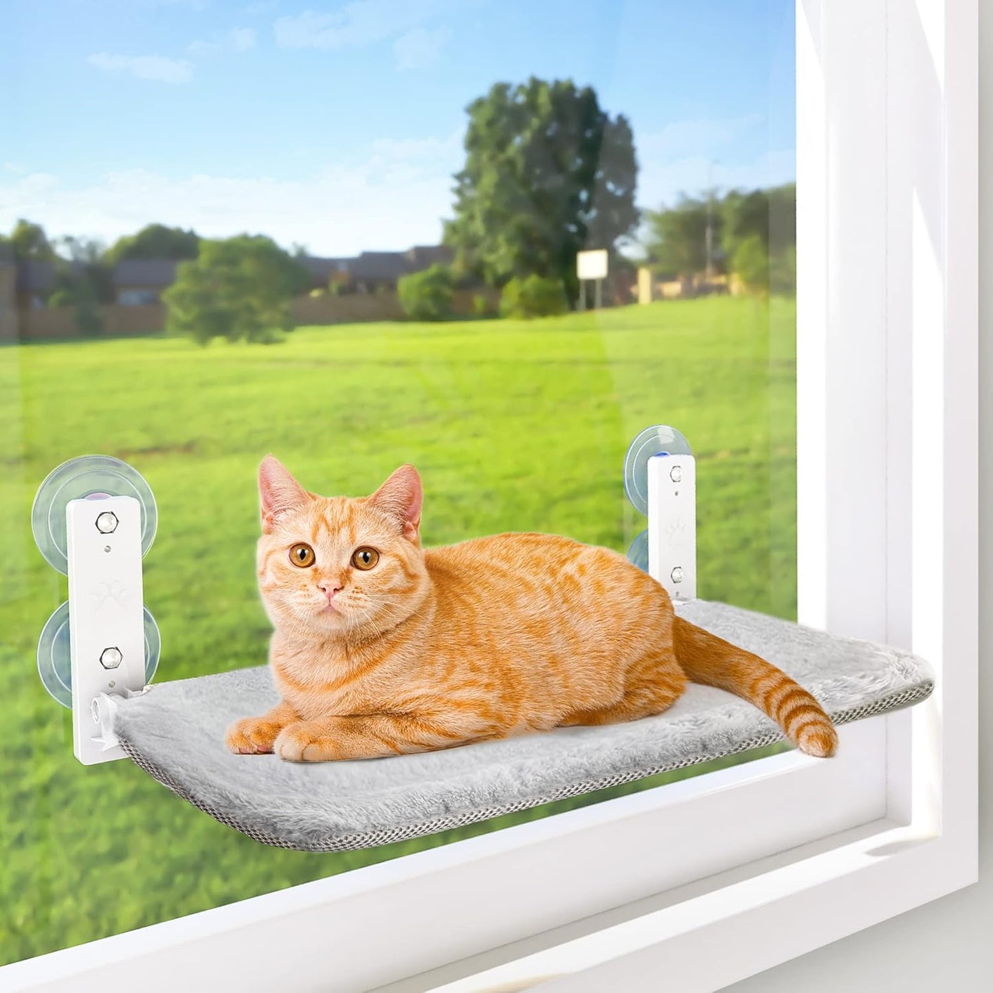 Sturdy Cordless Cat Perch – Let Your Cat Watch & Relax