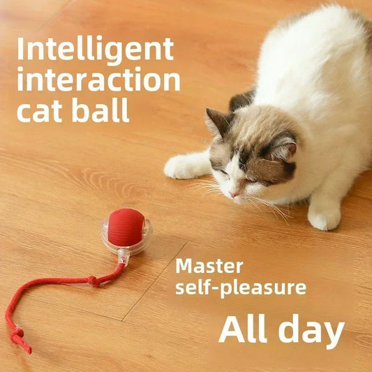 Smart Rechargeable Cat Toy – Rolling Ball with Faux Tail, Mouse Imitation & Auto Movement