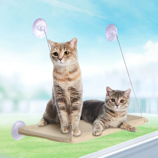 Cat Window Hammock – Hangout, Nap & Enjoy the Outdoors